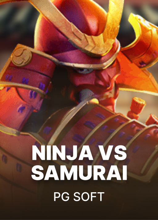 Ninja vs Samurai