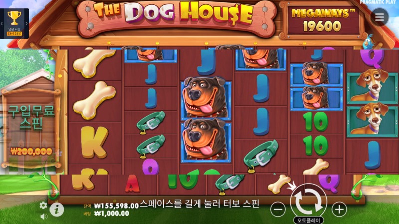 프로그마틱-더도그하우스2.jpg