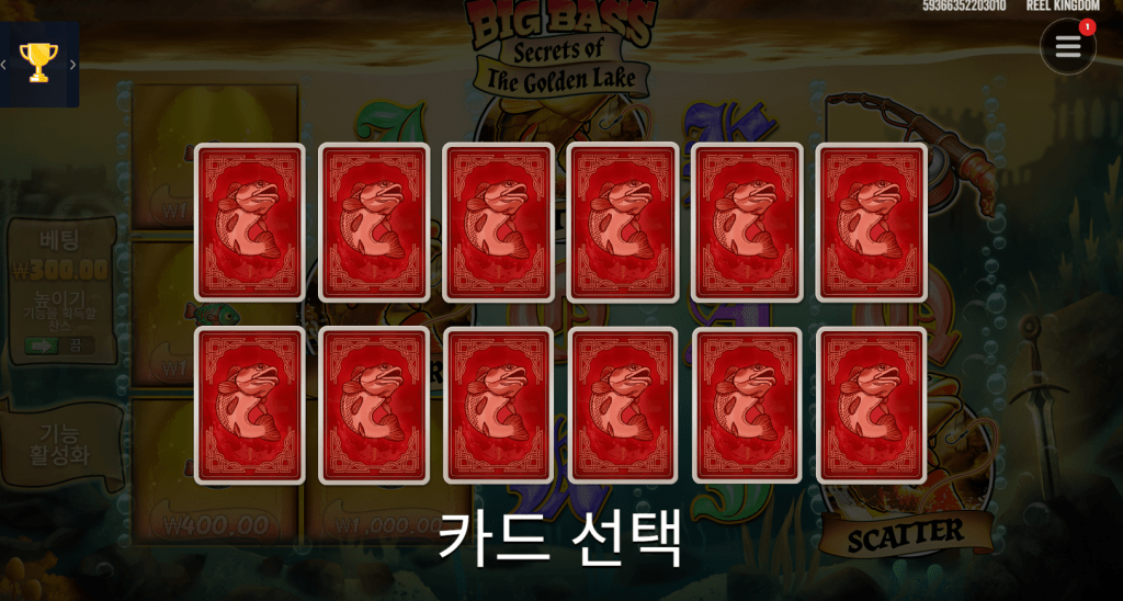 무료 스핀 카드선택