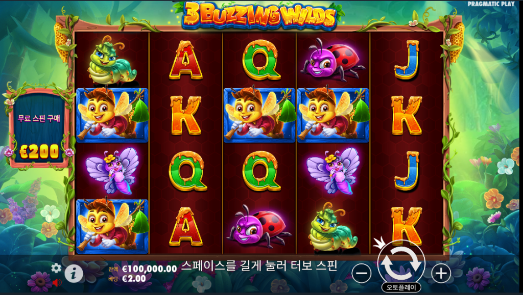 3버징 와일드 소개