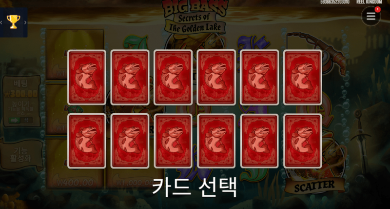 무료 스핀 카드선택
